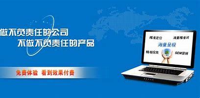 安陽SEO網(wǎng)絡(luò)推廣廠家詳解 SEO網(wǎng)絡(luò)推廣服務公司2024年8月最新指南